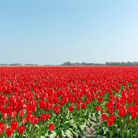 Vila Sandepark 151 For 8-person With Large Garden *